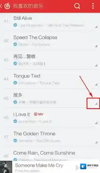 网易云音乐选择