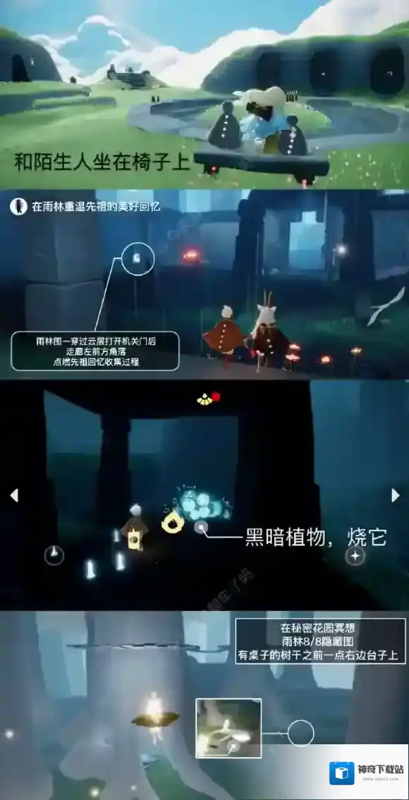 Sky光遇雨林