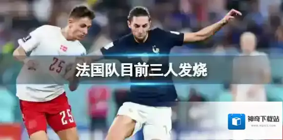 法国队目前三人发烧 德尚透露了球队目前的伤情