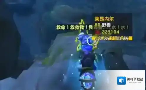 魔兽世界宠物