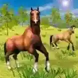 野马骑马官方最新版-v1.1