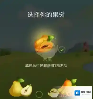 拼多多选择自己