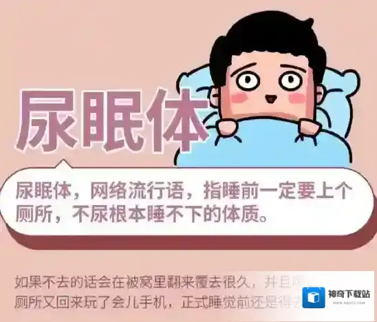 梗百科膀胱