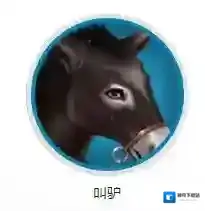 寻仙手游骑宠怎么获得 全骑宠获得方法_叫驴