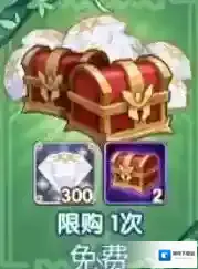 剑与远征限时