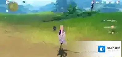 原神须弥