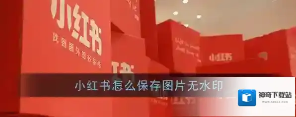 《小红书》保存无水印图片教程