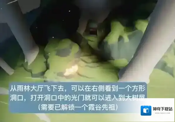 光遇智慧宝库秘密区域在哪？光遇智慧宝库秘密区域位置介绍