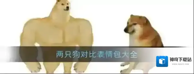 两只狗对比表情包大全