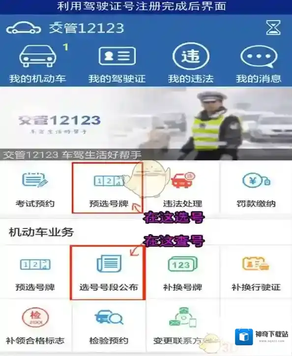交管12123选择