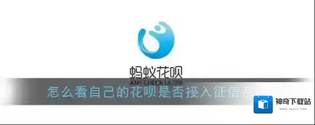 《蚂蚁花呗》查看是否接入征信方法