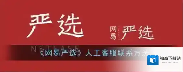 网易严选选项