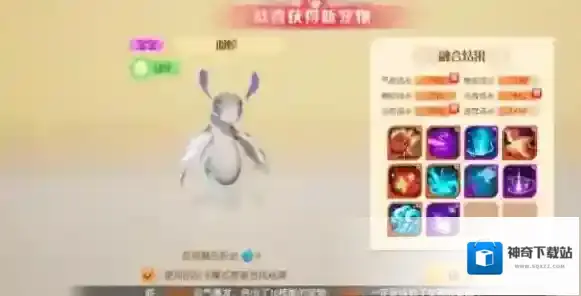 梦想新大陆奇面