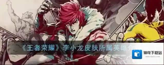 《王者荣耀》李小龙皮肤所属英雄介绍