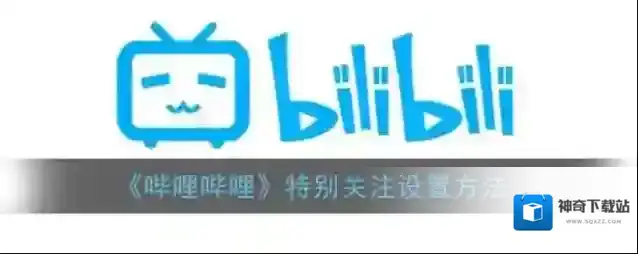 哔哩哔哩特别关注