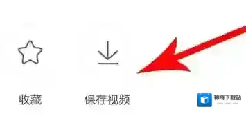皮皮虾保存