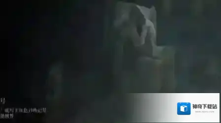 艾尔登法环魂点
