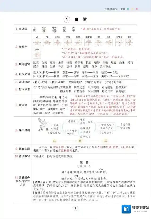 状元语文笔记年级上册