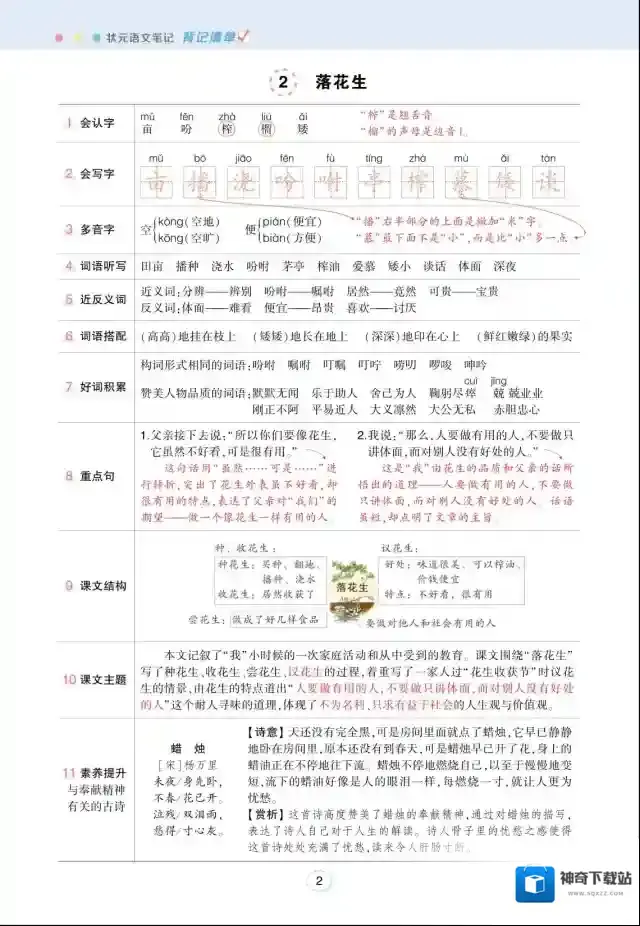状元语文笔记背记
