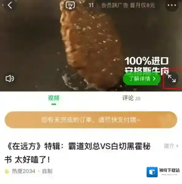 爱奇艺视频视频