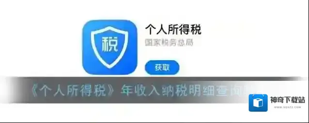 个人所得税纳税