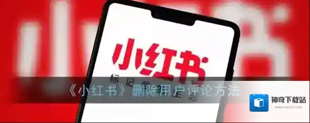 小红书评论