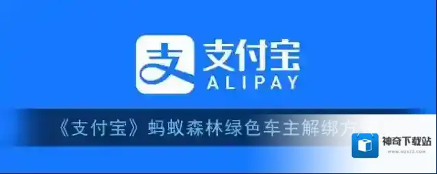 支付宝车主