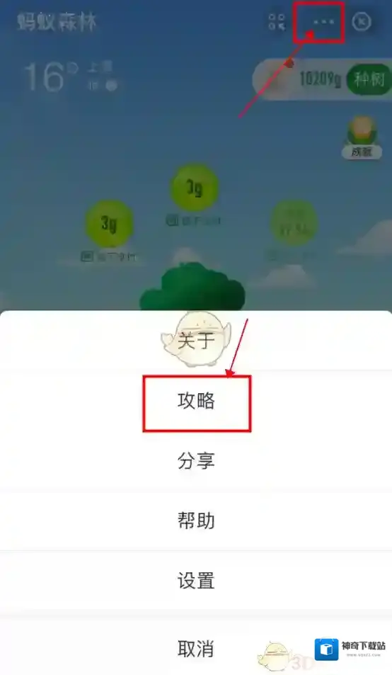 支付宝绿色