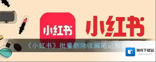 《小红书》批量删除收藏笔记教程