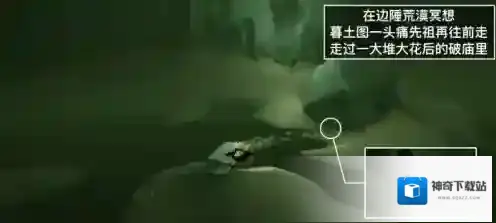 光遇每日任务