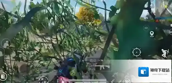 和平精英东西