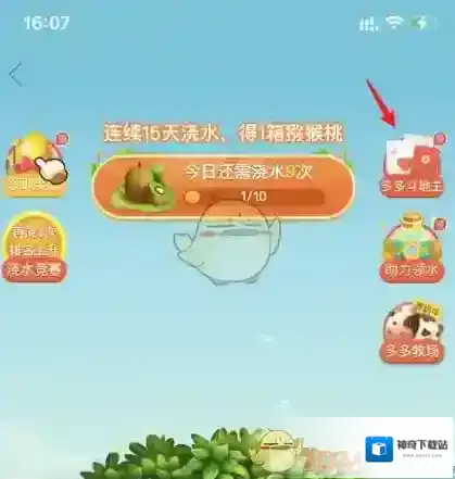 拼多多的是