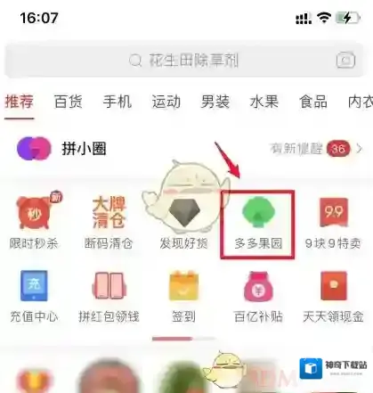 拼多多入口