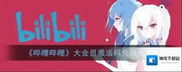 哔哩哔哩大会员