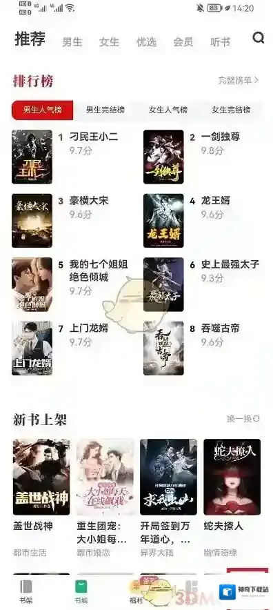书旗小说的我