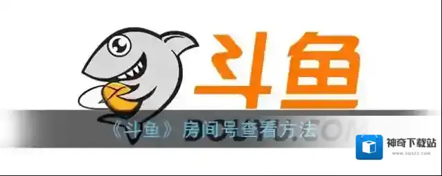 《斗鱼》房间号查看方法