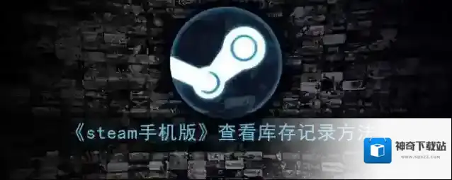 《steam手机版》查看库存记录方法
