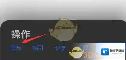 Procreate Pocket设置