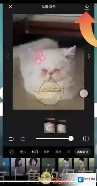 醒图照片