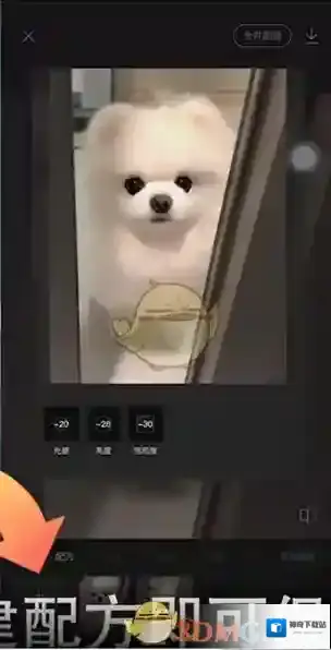 醒图照片