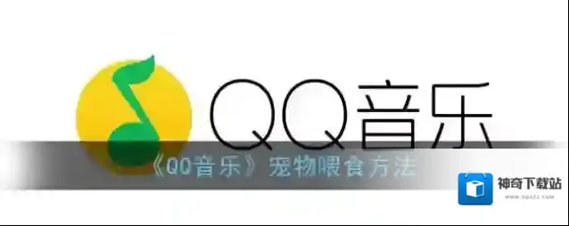 《QQ音乐》宠物喂食方法