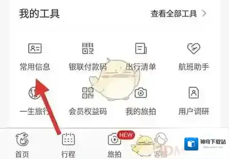 携程旅行旅客