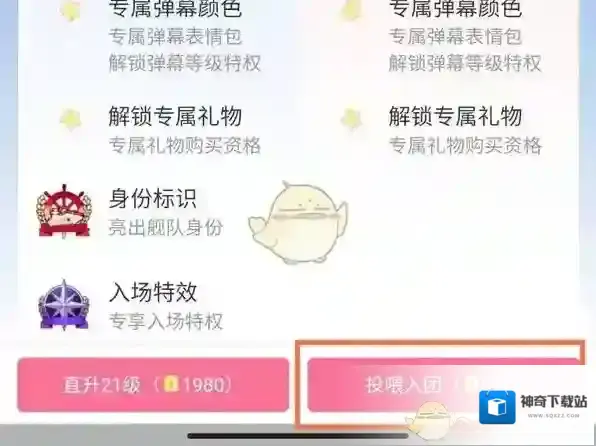 哔哩哔哩选择