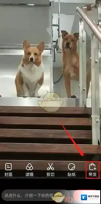 拼多多选择