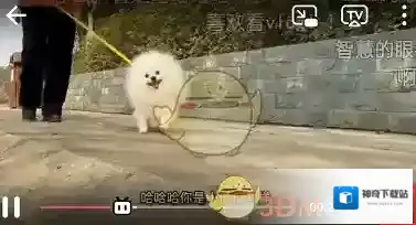 哔哩哔哩我们在