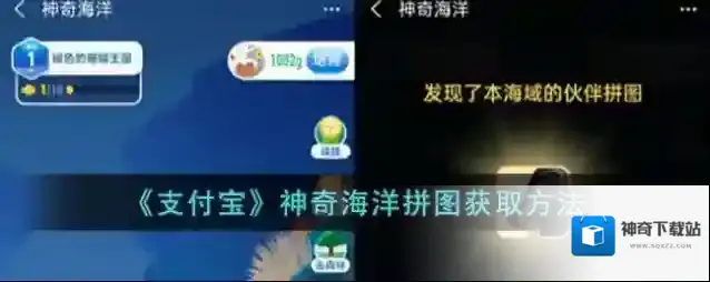 《支付宝》神奇海洋拼图获取方法