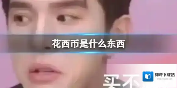 花西币是什么东西 1花西币等于多少钱呢
