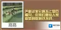 疯狂动物园属性
