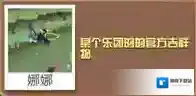 疯狂动物园图鉴