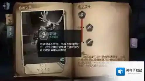 第五人格巡守